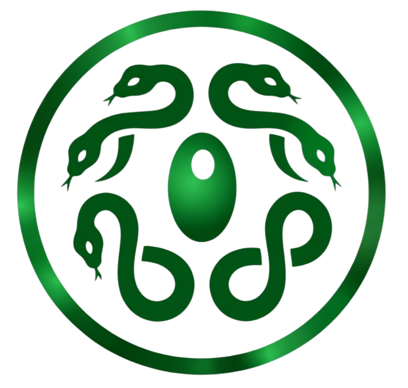 MEDUSSA